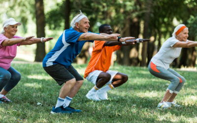 Best Leg Strengthening & Mobility Exercises for Seniors (Workouts)